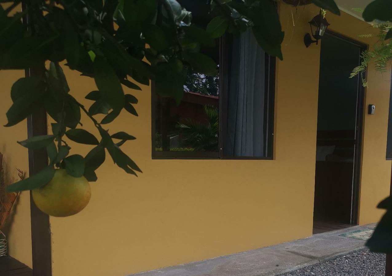 Dreamcatcher House Sarchí Εξωτερικό φωτογραφία